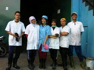 magang TIHP