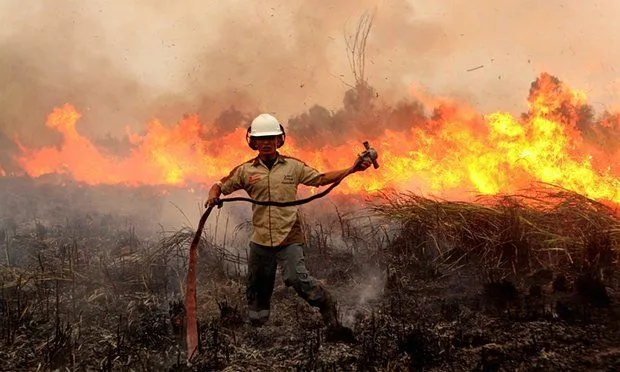 Kerugian Indonesia Karena Asap Kemarin = Dua Kali Biaya Rekonstruksi Pascatsunami Aceh 5