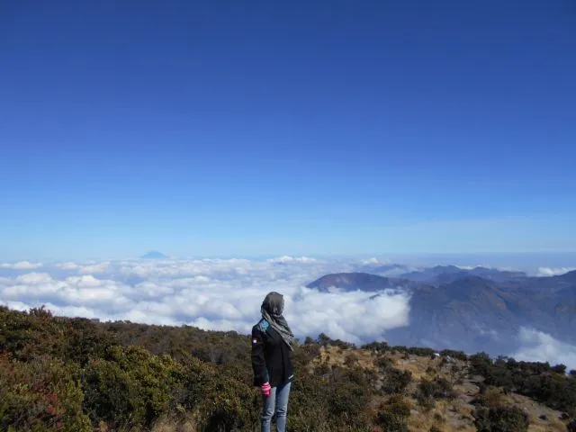 Sekarang aku sendiri, menikmati puncak-puncak tinggi tanpa kamu di sisi