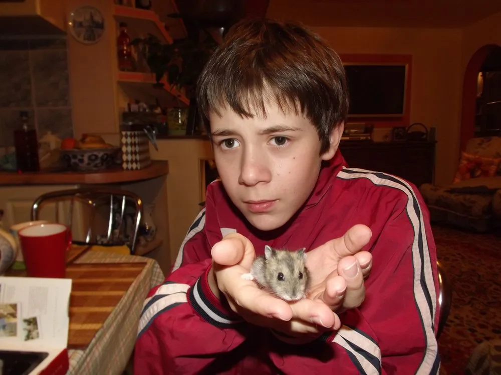 8 Keseruan yang Hanya Bisa Kamu Rasakan Saat Punya Seekor Hamster Imut di Kamar 14