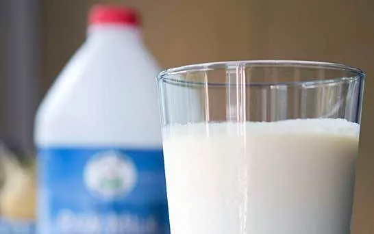 9 Alternatif Bekal Sederhana yang Hemat, Tapi Juga Sehat Buat Tubuhmu 17