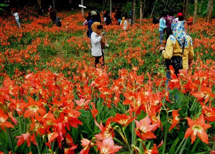 Merusak Tempat Indah Sudah Biasa di Indonesia. Tapi, Cuma Anak Muda yang Bisa Menghentikannya 11