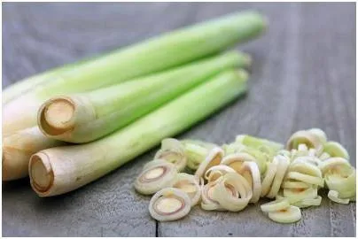 9+ Cara Mengusir Nyamuk di Kamar yang Mudah dan Cepat 13