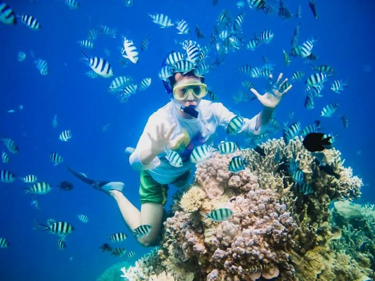 Snorkeling di Sekitar Jogja Kini Bukan Sekedar Angan. Destinasi Snorkeling ini Bikin Impianmu Jadi Kenyataan! 12