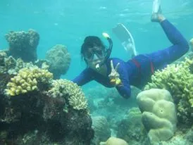 bawah laut pramuka
