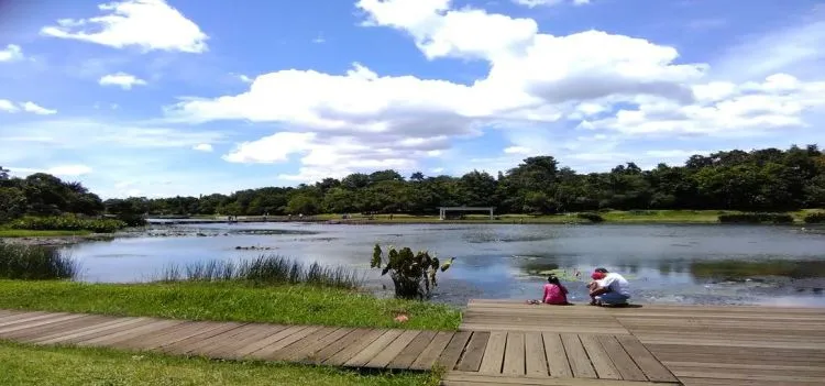 Daftar Tempat Wisata di Bogor yang Banyak Spot Foto 14