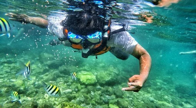Snorkeling di Sekitar Jogja Kini Bukan Sekedar Angan. Destinasi Snorkeling ini Bikin Impianmu Jadi Kenyataan! 20