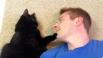 Sebagai Pecinta Kucing Sejati, Tahukah Kamu 8 Tanda Kucingmu Lapar dan Minta Perhatian?