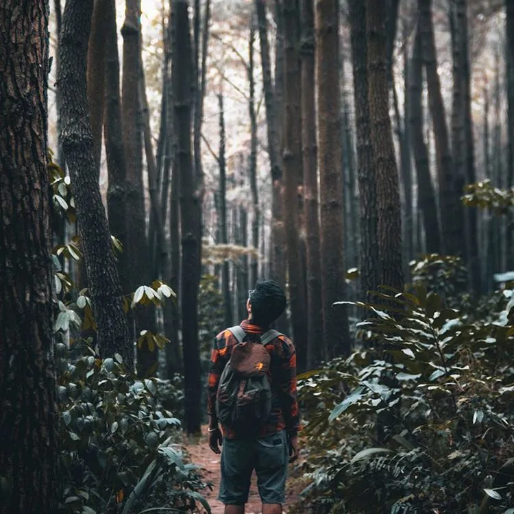 Daftar Tempat Wisata di Bogor yang Banyak Spot Foto 13