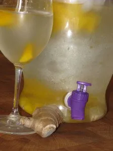 Dengan 8 Resep Infused Water Ini, Langsing Nggak Cuma Jadi Mimpi! 16