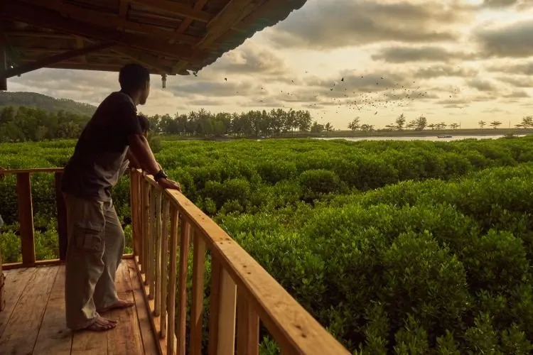 Beragam Tempat Wisata Ini Akan Membuat Kamu Bertanya, “Yakin Ini Di Kebumen?” 12