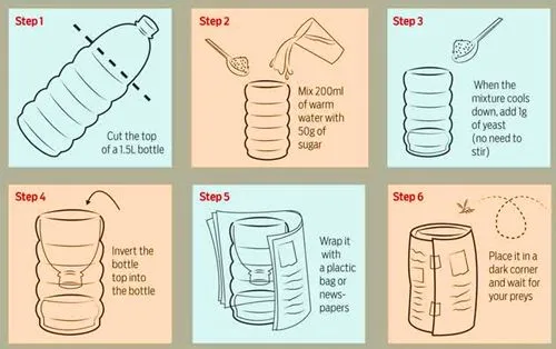 9+ Cara Mengusir Nyamuk di Kamar yang Mudah dan Cepat 12