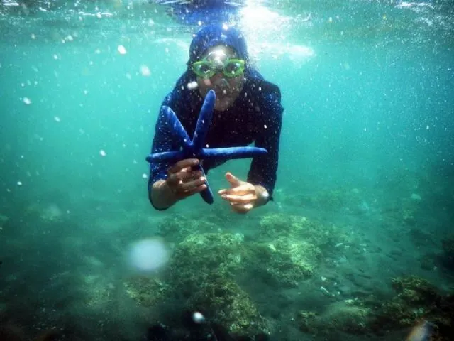 Pantai Bangsring Banyuwangi