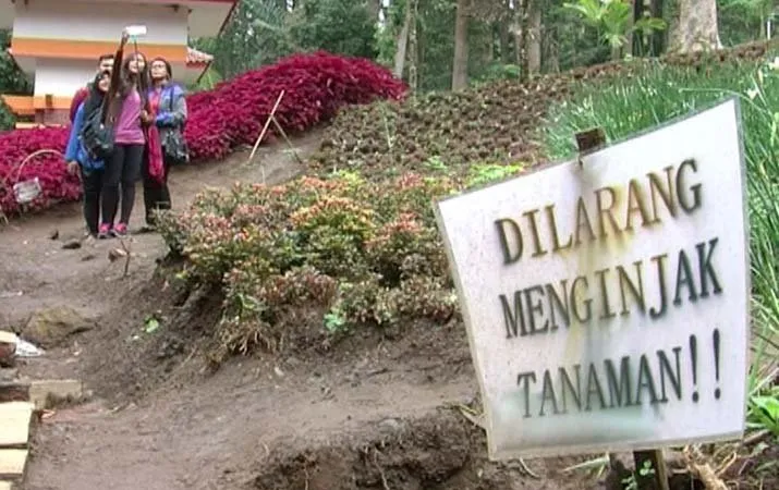 Mengabadikan Foto Diri Sih Sah-Sah Aja. Tapi Jangan Lupakan Keselamatanmu dan Lingkungan Sekitar Juga! 15