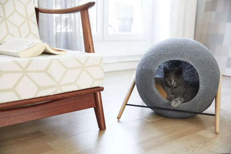 Seberapa Pentingkah Hewan Peliharaan Untukmu? 20 Kandang Anjing dan Kucing Ini Bisa Jadi Inspirasinya! 32