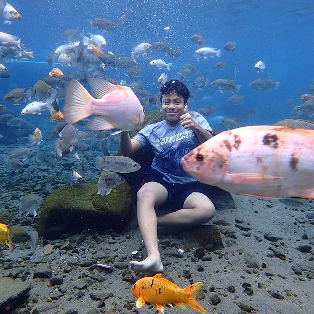 Snorkeling di Sekitar Jogja Kini Bukan Sekedar Angan. Destinasi Snorkeling ini Bikin Impianmu Jadi Kenyataan! 17