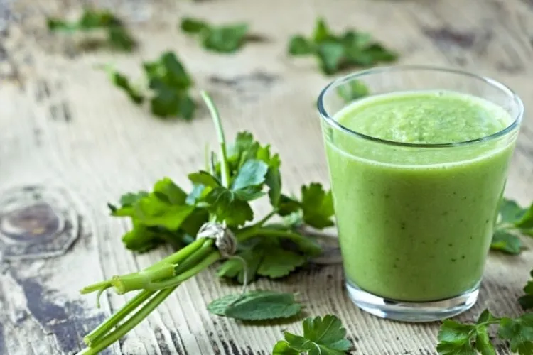 10 Resep Jus Sehat Buat Badan yang Mulai Terasa Berat (Yang Hobi Makan Wajib Baca!) 16