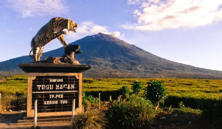 9 Gunung yang Bisa Kamu Daki Kapan Saja. Pas Hujan Juga Nggak Papa! 18