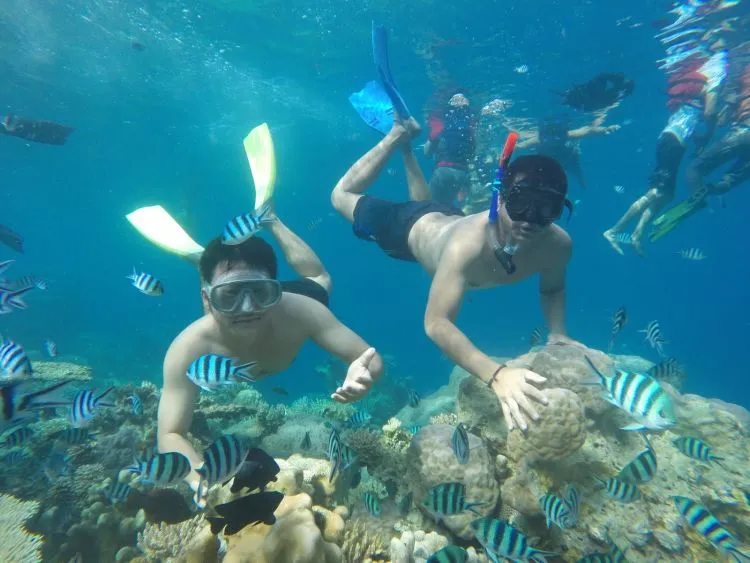 Snorkeling di Sekitar Jogja Kini Bukan Sekedar Angan. Destinasi Snorkeling ini Bikin Impianmu Jadi Kenyataan! 13