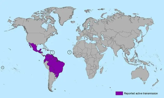 Semua Fakta yang Perlu Kamu Tahu Tentang Virus Zika, Virus yang Disebarkan Nyamuk Aedes Aegypti Juga 8