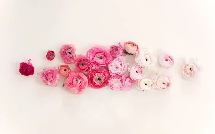 22 Wallpaper Ini Siap Kamu Unduh Gratis. Biar Makin Semangat Karena Layar Gadget yang Manis! 26
