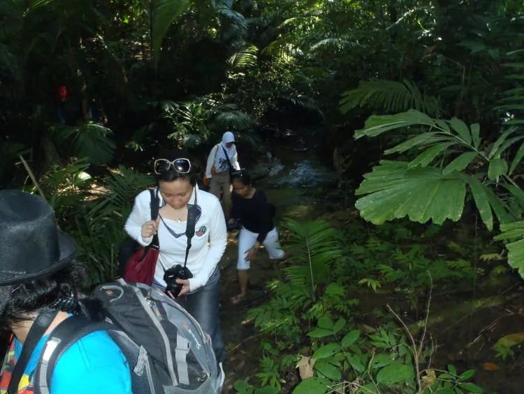Nggak Cuman Badak Aja. Ada Begitu Banyak Destinasi Andalan Bagimu Untuk Traveling ke Ujung Kulon! 14