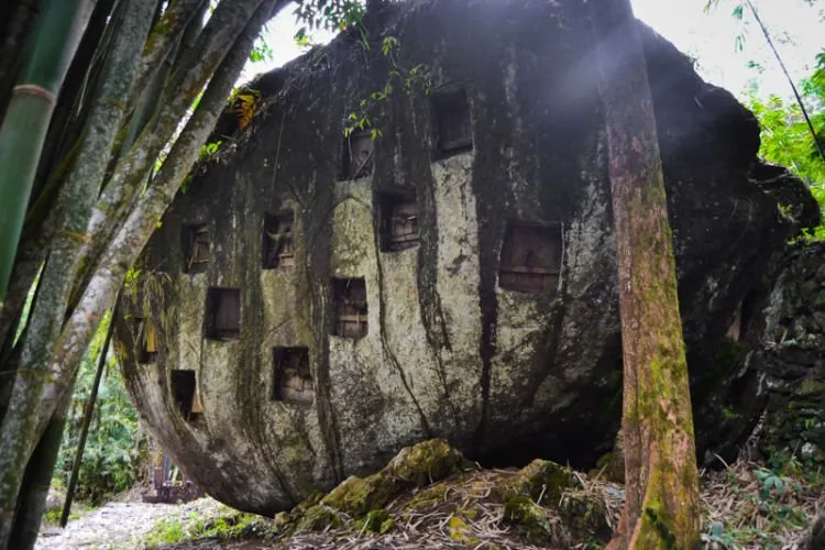 Bukannya Bikin Kamu Bergidik Ketakutan, Wisata Kematian Tana Toraja Justru Bikin Kamu Terpesona! Datang dan Buktikan Deh! 17
