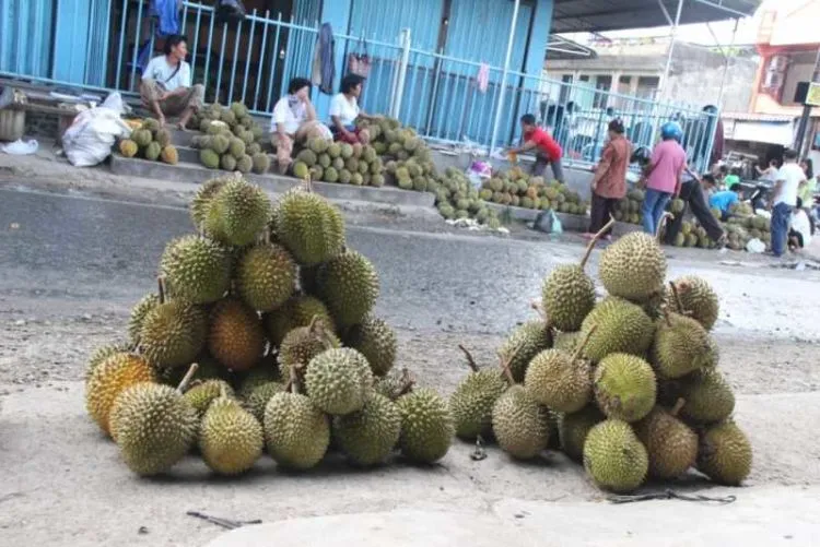 7 Tips Ini Layak Diterapkan, Buat Kamu yang Gemar Makan Tapi Ingin Minim Pengeluaran 11