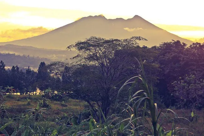 Beragam Kisah Horor Pendakian Gunung yang Bikin Merinding! Yakin Masih Berani Ndaki? 11