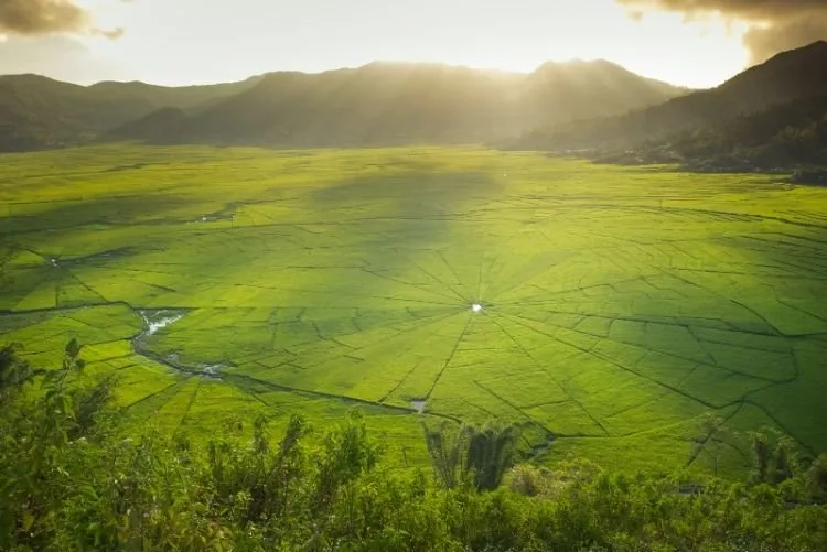Ngaku Traveler Sejati? Belum Sah Jika Belum Jelajahi 9 Destinasi Apik di Flores Ini! 17