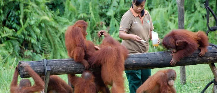 Fenomena Wisata Gerhana yang Super Langka Bisa Kamu Saksikan Maret Ini. Jangan Sampai Kamu Lewatkan! 8