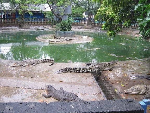 Cukup! Jangan Bully Bekasi Lagi. Tempat Indah ini Bakal Bikin Bekasi Lekat di Hati 10