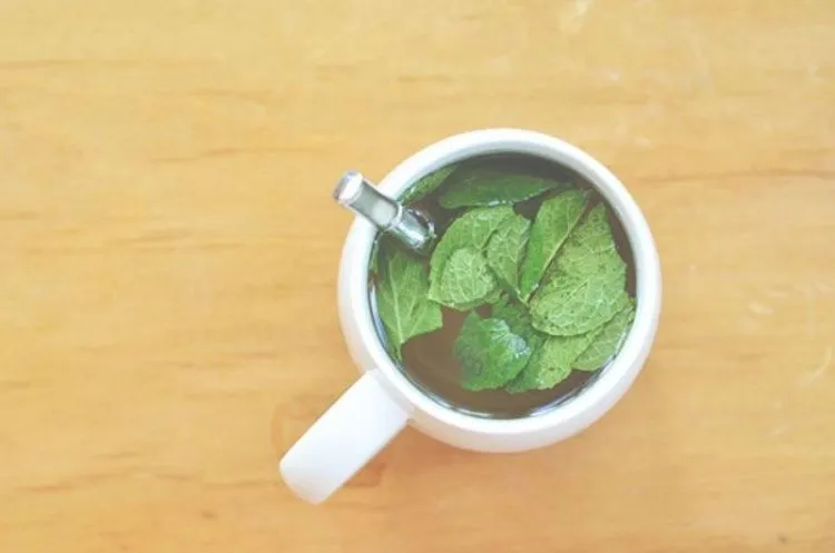 Cukup Modal Teh Celup Saja, Perutmu Bisa Kembali Rata. 8 Racikan Minuman Ini Wajib Banget Dicoba! 9