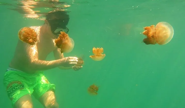 7 Aktivitas Seru Yang Bisa Kamu Lakukan di Kepulauan Derawan. Yakin Deh Bakal Bikin Kamu Enggan Pulang! 9