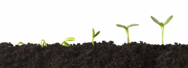 Mayoritas Startup Akan Gagal. Jangan Bikin Startup Kalau 12 Hal Ini Kamu Abaikan! 22
