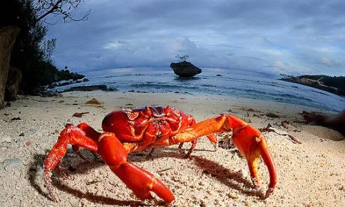 Sebagai Cewek Indonesia Berkulit Putih Alami, Kamu Pasti Paham 9 Hal Ini! 15