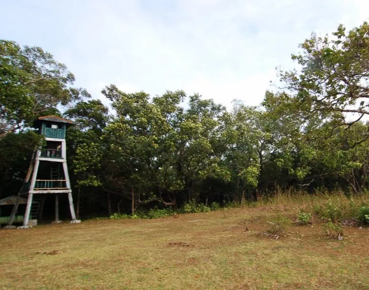 Nggak Cuman Badak Aja. Ada Begitu Banyak Destinasi Andalan Bagimu Untuk Traveling ke Ujung Kulon! 11