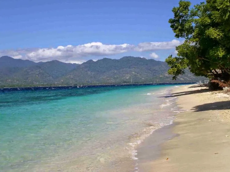 Jawa Timur Tak Hanya Surabaya dan Malang. Wisata di Jember Juga Patut Untuk Kamu Jadikan Tujuan Saat Jalan-jalan! 13