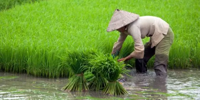 Pas Kecil Malah Menjadikan Profesi Ini Cita-cita? Masa Kecilmu Gak Cuma Bahagia, Tapi Juga Tak Biasa! 9