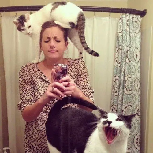 7 Hal yang Ringan Saja Kamu Lakoni, Kalau Kucingmu Udah Kayak Pacar Sendiri... 10