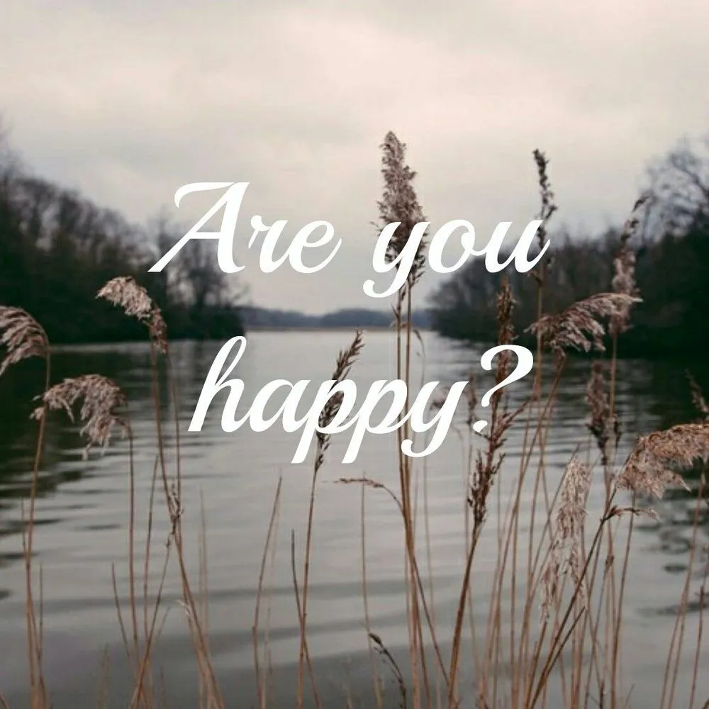 What Is The Meaning Of Happiness?