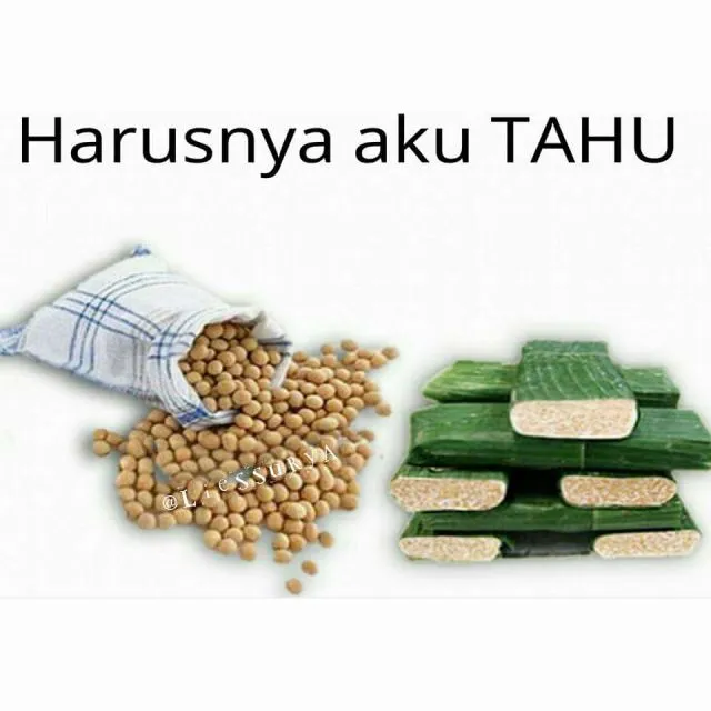 kedelai dan tempe