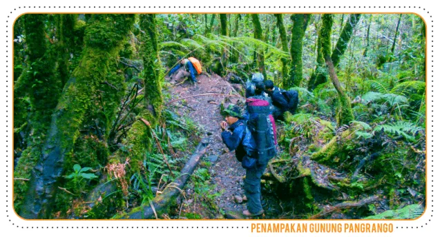 Gunung Pangrango Asri Banget