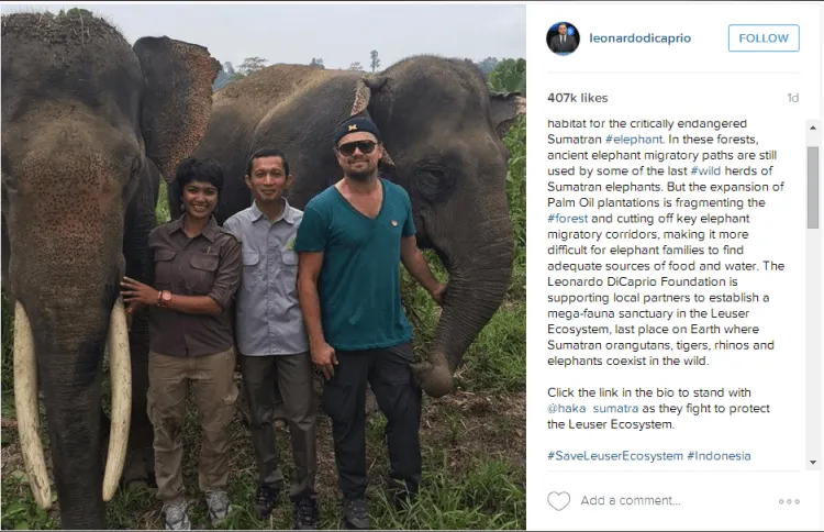 Leonardo Dicaprio Ke Aceh, Bukti Nyata Ketulusan Pidato Oscarnya 14