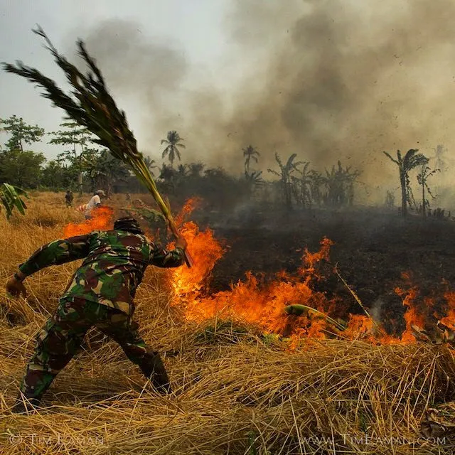 Musim Kemarau Segera Datang Menjelang! Jangan Sampai Lagi Terjadi Kebaran Hutan di Indonesia! 10