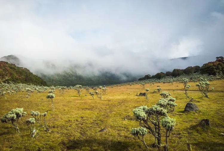10 Gunung Terindah di Indonesia Ini Begitu Mempesona! Sudahkah Kamu Menjamah Puncaknya? 11