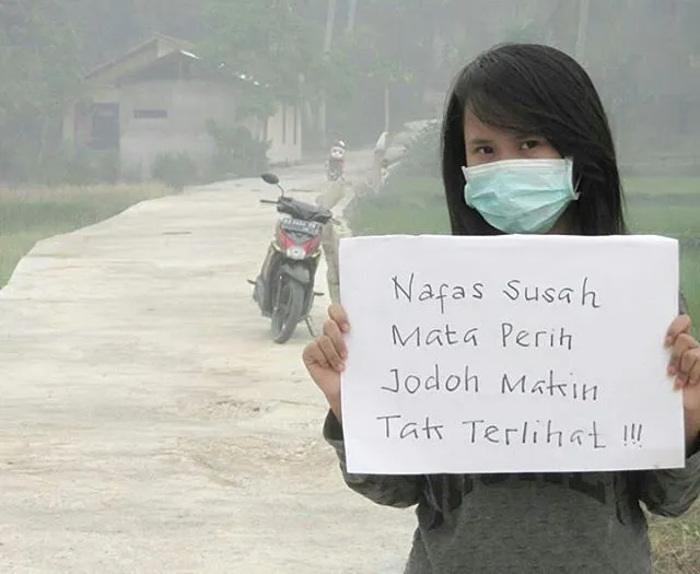 Musim Kemarau Segera Datang Menjelang! Jangan Sampai Lagi Terjadi Kebaran Hutan di Indonesia! 14