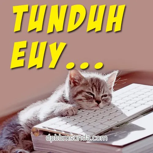Denger Orang yang Ngomong Pakai Logat Sunda Emang Bikin Bahagia, Rasanya Pengen Disayang Aja... 14