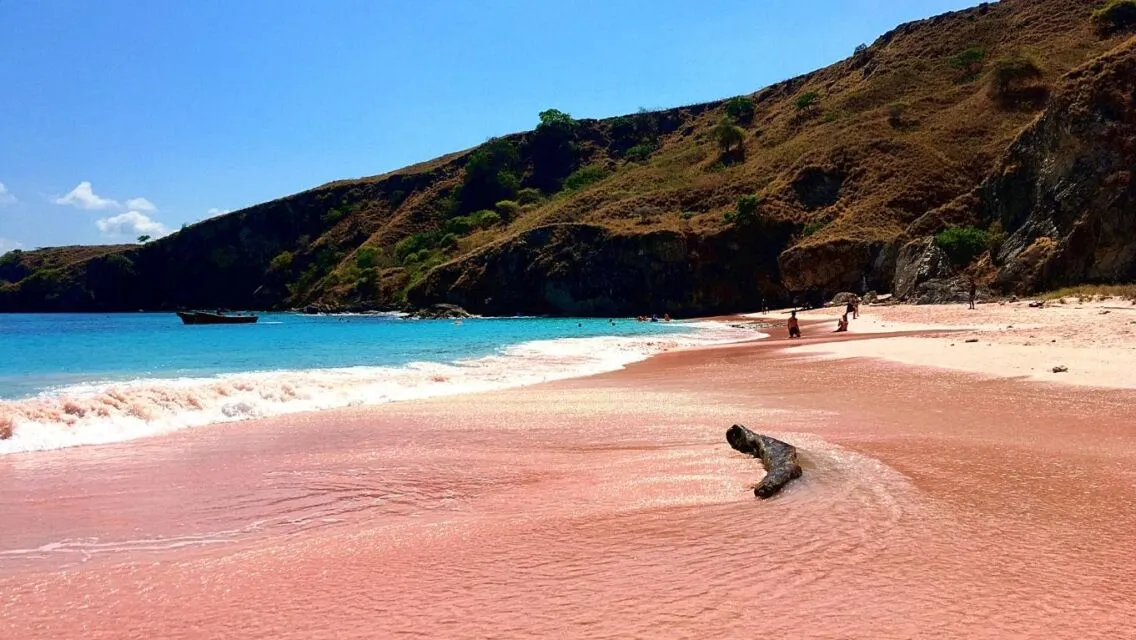 10 Pantai Terindah di Indonesia yang Begitu Syahdu. Kamu Wajib Mengunjungi Setidaknya Sekali Seumur Hidupmu! 19 Pantai Pink di Pulau Komodo