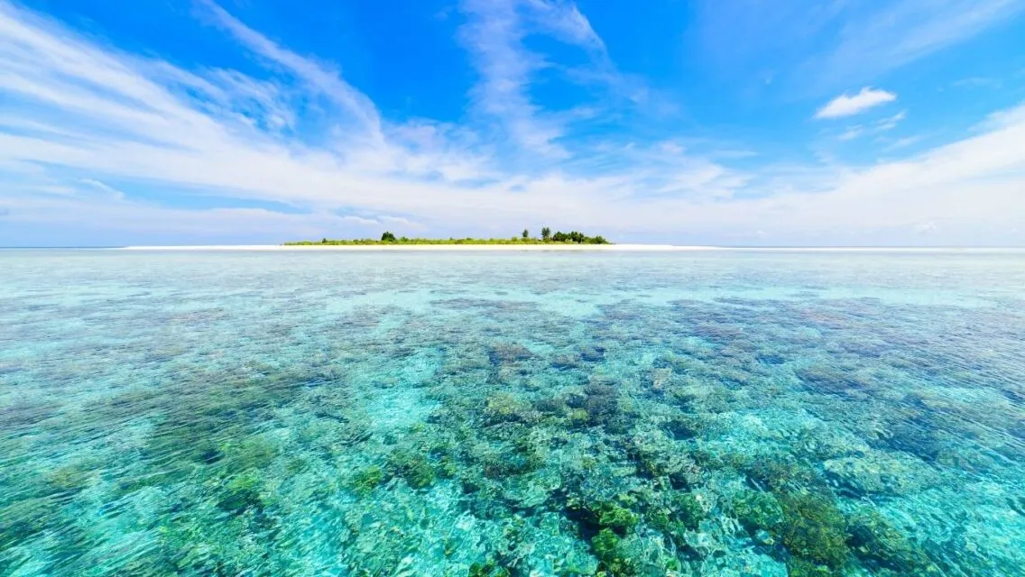 10 Pantai Terindah di Indonesia yang Begitu Syahdu. Kamu Wajib Mengunjungi Setidaknya Sekali Seumur Hidupmu! 17 Taman Nasional Wakatobi untuk para penyelam
